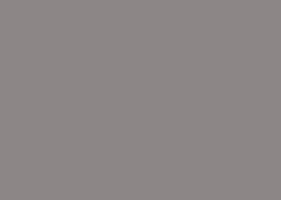 Formica - Xpression Collection - Grey Taupe