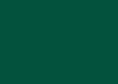 Formica - Xpression Collection - Hunters Green