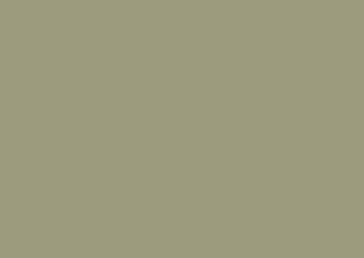 Formica - Xpression Collection - Khaki