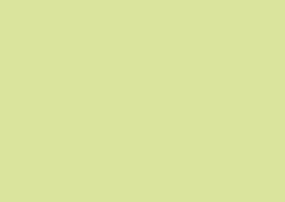 Formica - Xpression Collection - Soft Green