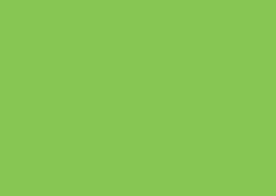 Bright Green HDG 5013